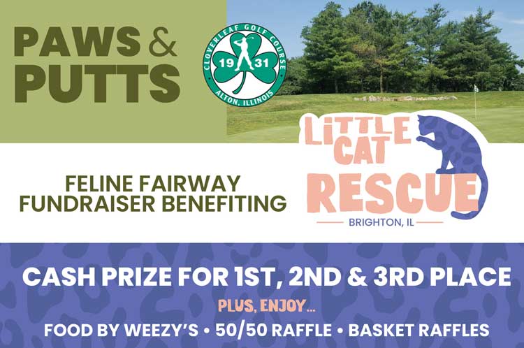 Paws & Putts Fundraiser - Little Cat Rescue of Illinois