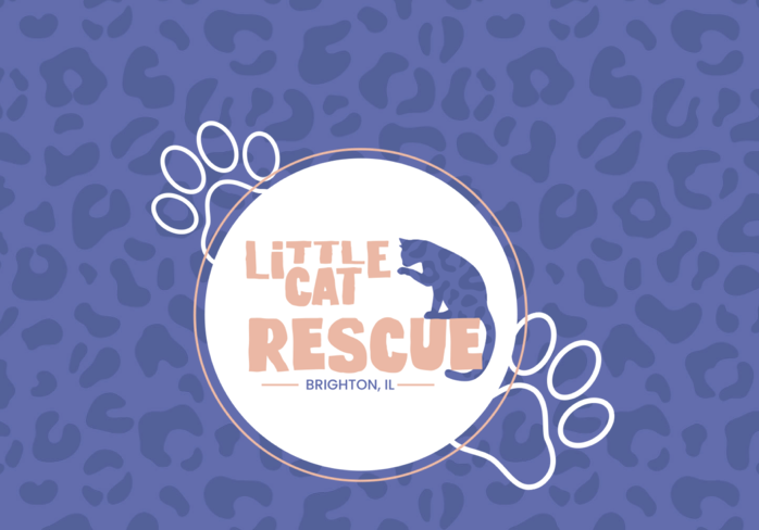 Little Cat Rescue of Illinois